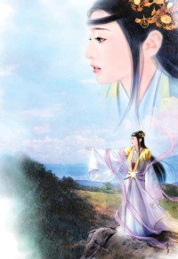 XY的区别